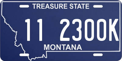 MT license plate 112300K