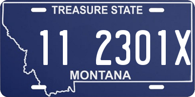 MT license plate 112301X