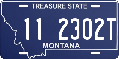 MT license plate 112302T