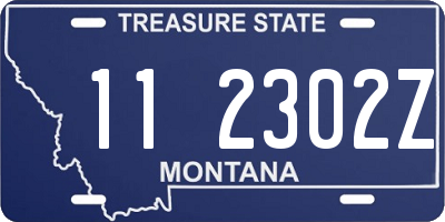 MT license plate 112302Z