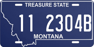 MT license plate 112304B