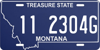 MT license plate 112304G