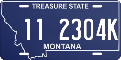 MT license plate 112304K