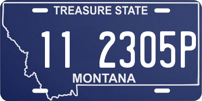 MT license plate 112305P