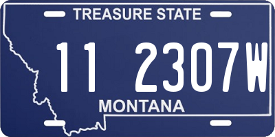 MT license plate 112307W