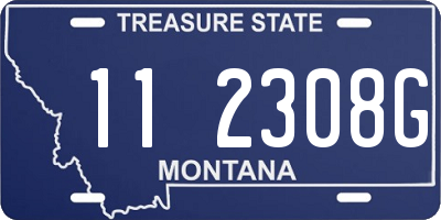 MT license plate 112308G