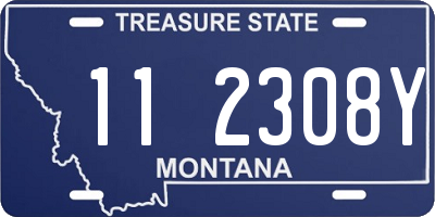 MT license plate 112308Y