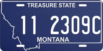 MT license plate 112309C