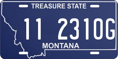 MT license plate 112310G