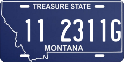 MT license plate 112311G