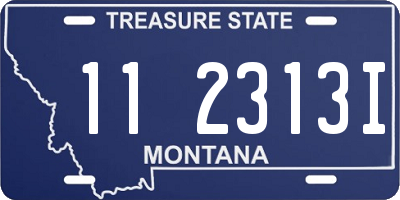 MT license plate 112313I