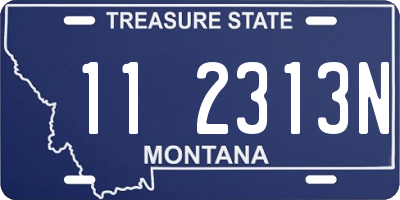 MT license plate 112313N
