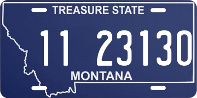 MT license plate 112313O