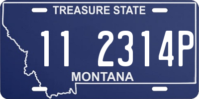 MT license plate 112314P