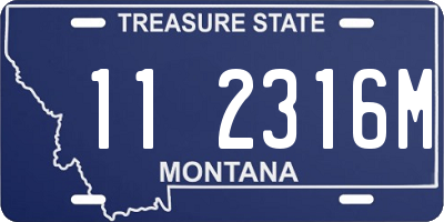 MT license plate 112316M