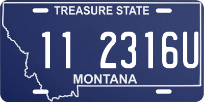 MT license plate 112316U