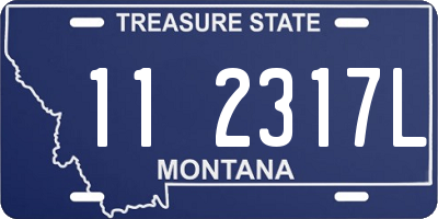 MT license plate 112317L