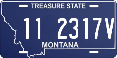 MT license plate 112317V