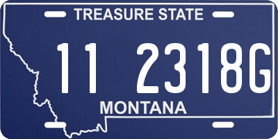 MT license plate 112318G