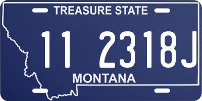 MT license plate 112318J