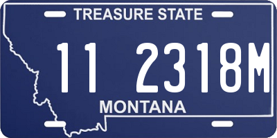 MT license plate 112318M