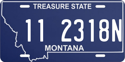 MT license plate 112318N