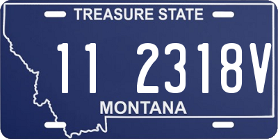 MT license plate 112318V