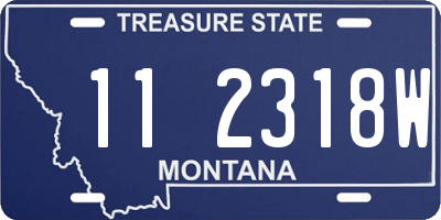 MT license plate 112318W