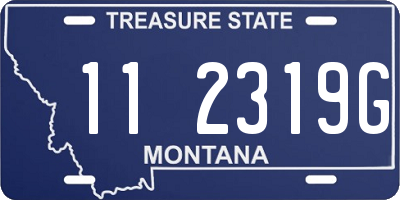 MT license plate 112319G