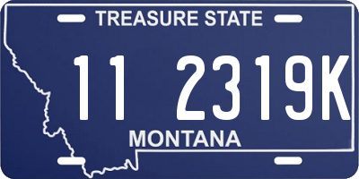 MT license plate 112319K