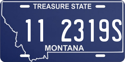 MT license plate 112319S