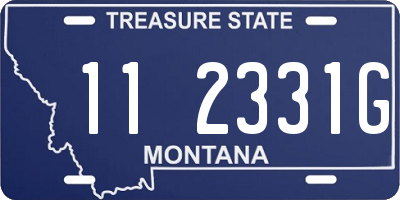 MT license plate 112331G