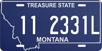 MT license plate 112331L