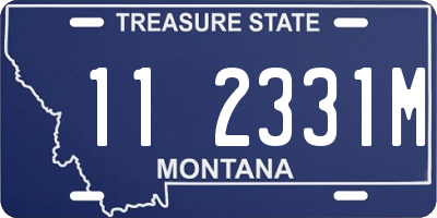 MT license plate 112331M