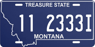 MT license plate 112333I