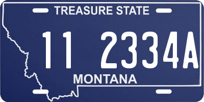 MT license plate 112334A