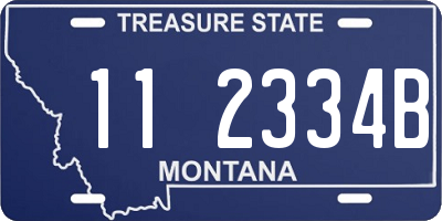 MT license plate 112334B