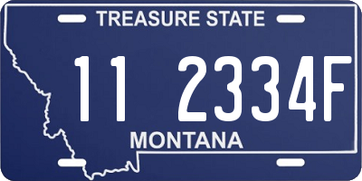 MT license plate 112334F