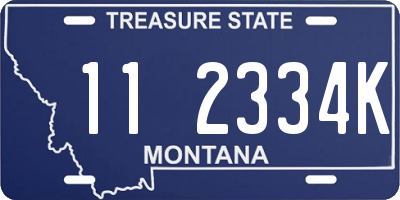 MT license plate 112334K