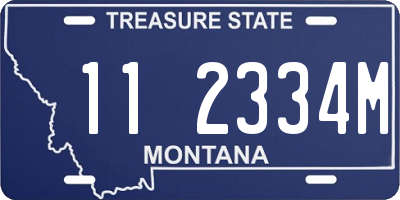 MT license plate 112334M
