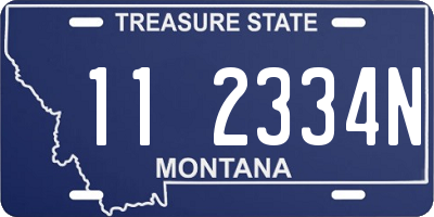 MT license plate 112334N