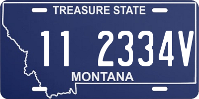 MT license plate 112334V