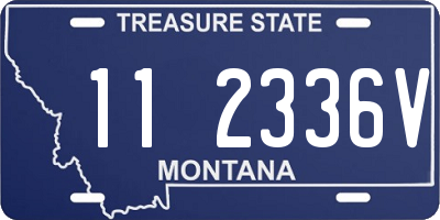 MT license plate 112336V