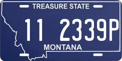 MT license plate 112339P