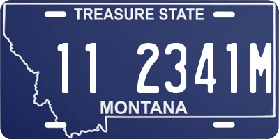 MT license plate 112341M