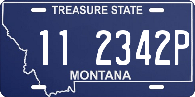 MT license plate 112342P