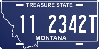 MT license plate 112342T