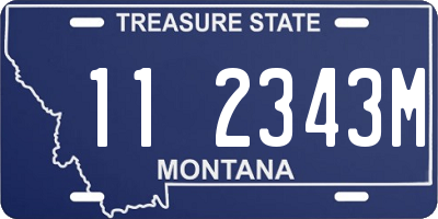 MT license plate 112343M