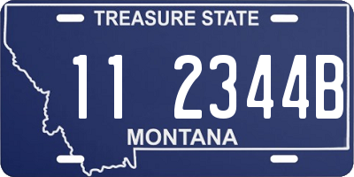 MT license plate 112344B