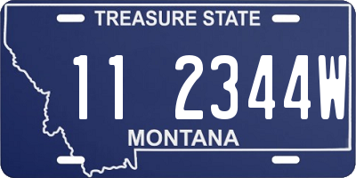 MT license plate 112344W